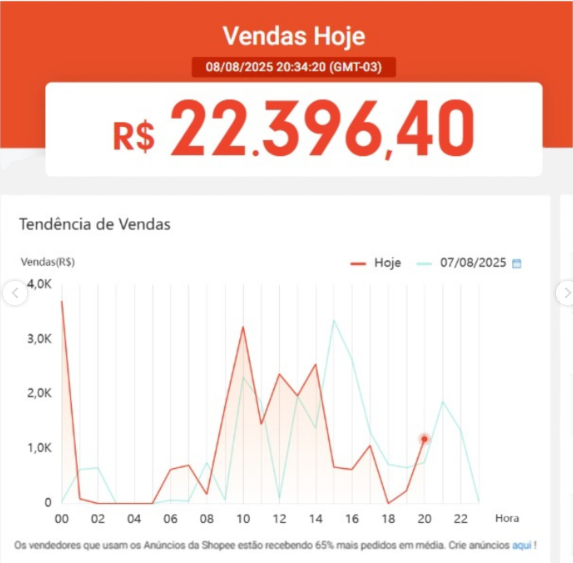 Print de resultado 1